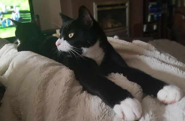 Illustration de l'article : Sélection des 23 photos insolites de la semaine