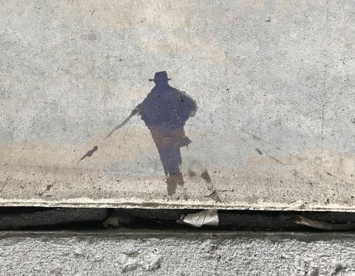 Illustration de l'article : Ces 20 curiosités qui trompent l'esprit en ressemblant à quelque chose d'autre