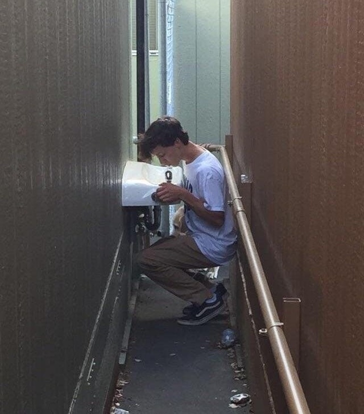 Illustration de l'article : Ces 21 employés qui n'ont pas vraiment réussi le job confié