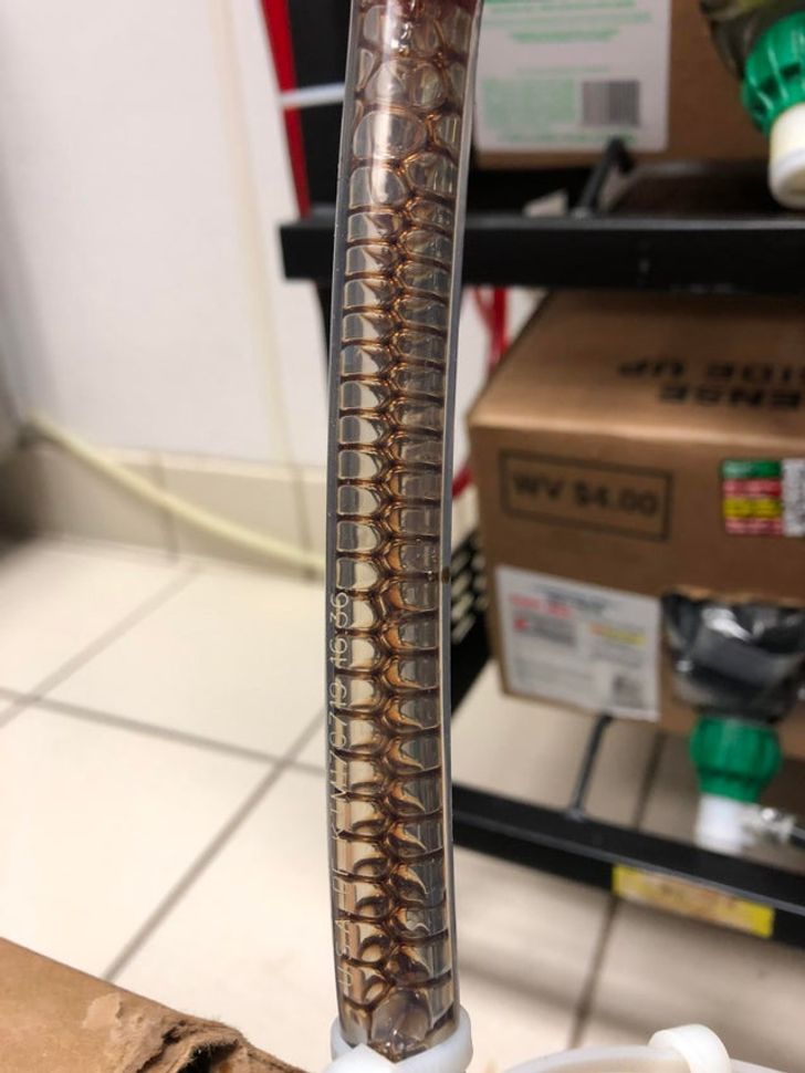 Illustration de l'article : Ces 19 photos qui illustrent des oeuvres d'art impr&eacute;vues