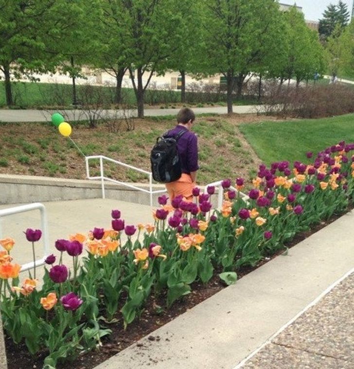 Illustration de l'article : Ces 20 personnes en parfaite harmonie vestimentaire avec l'environnement qui les entoure