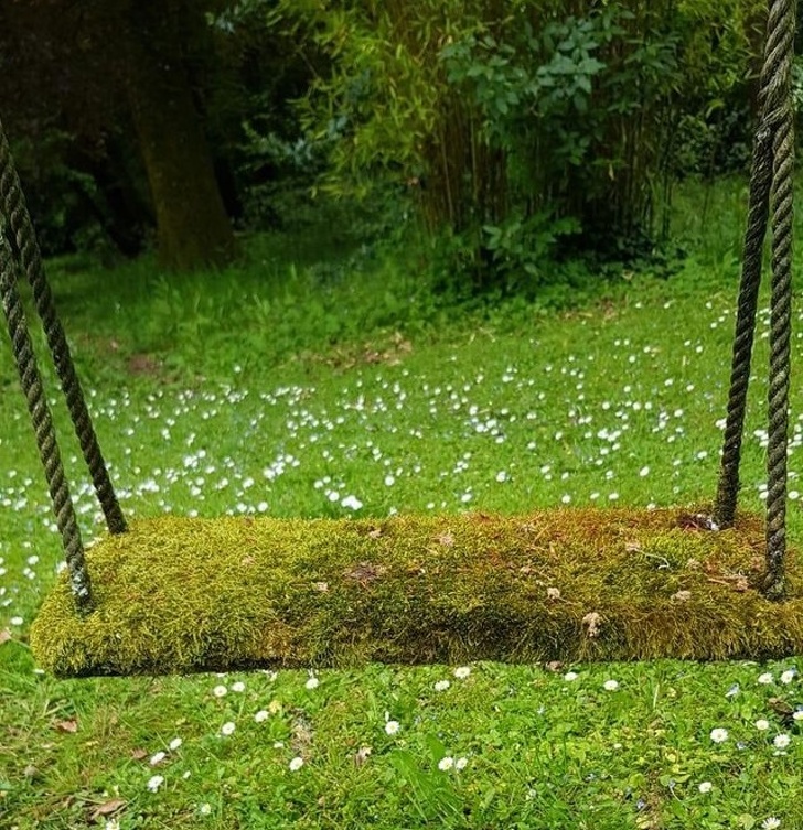 Illustration de l'article : Ces 27 choses rares mais qui ont existé un jour