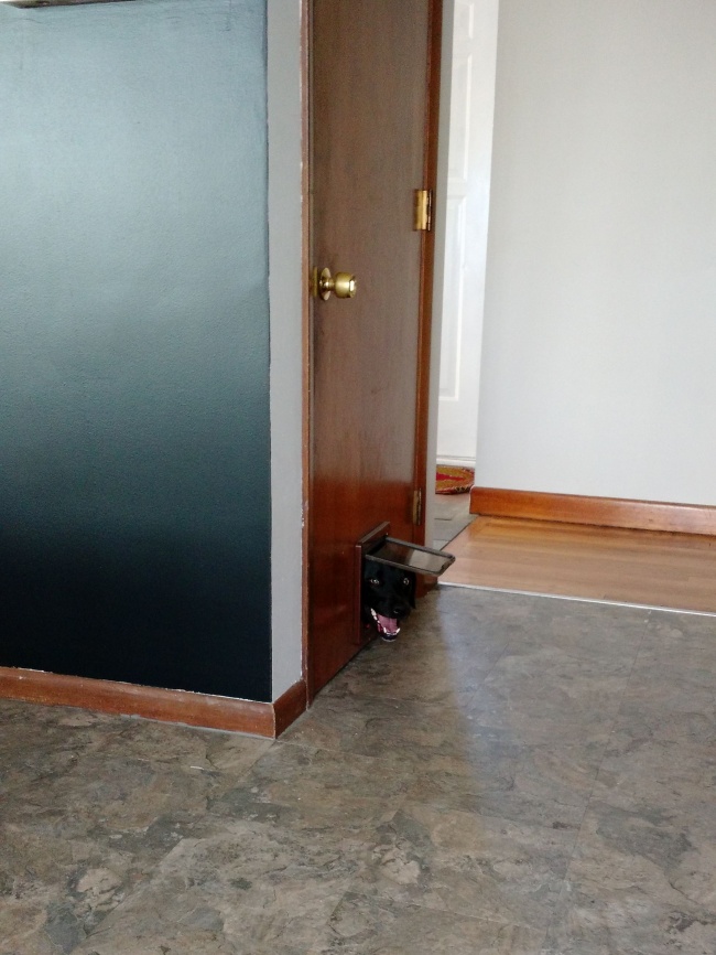 Illustration de l'article : 28 personnes qui ont vécu une expérience dont elles se souviendront toute leur vie