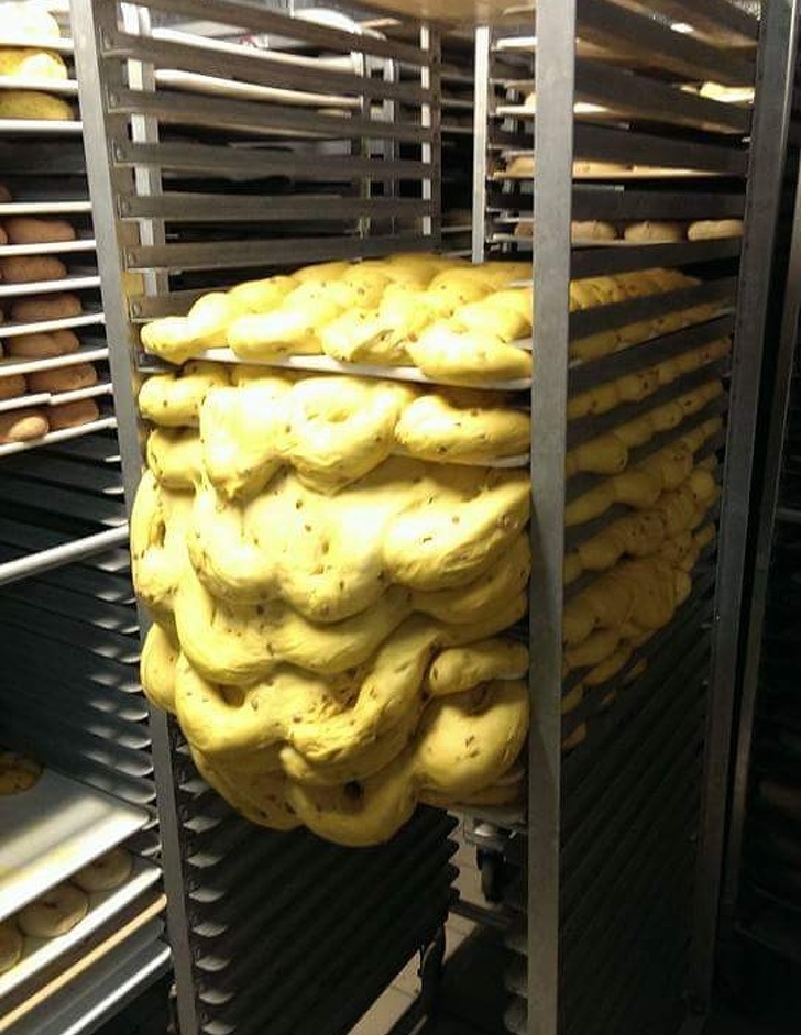 Illustration de l'article : Ces 21 photos qui réclament un peu d'empathie