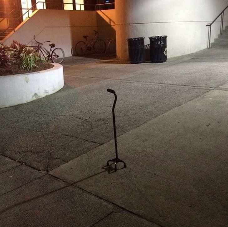 Illustration de l'article : Ces 22 situations qui ne se produisent pas à tous les coins de rue