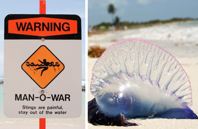 Illustration de l'article : 12 pièges à éviter si vous passez vos vacances dans certaines destinations exotiques