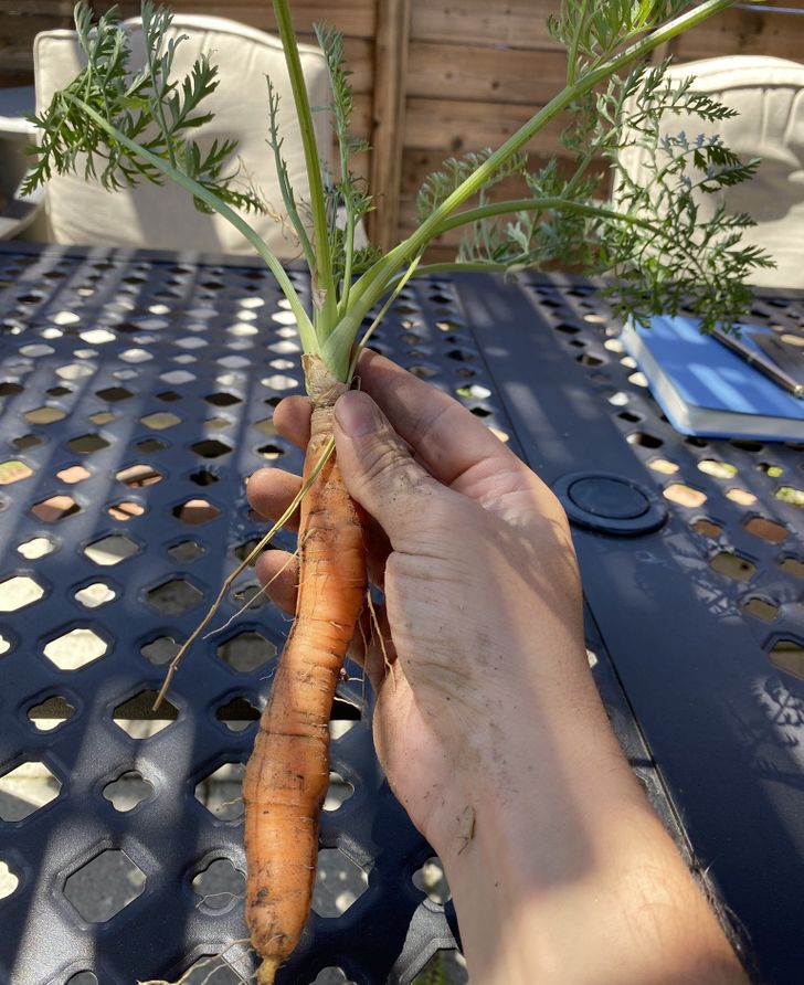 Illustration de l'article : Ces 14 photos qui montrent la puissance de la nature