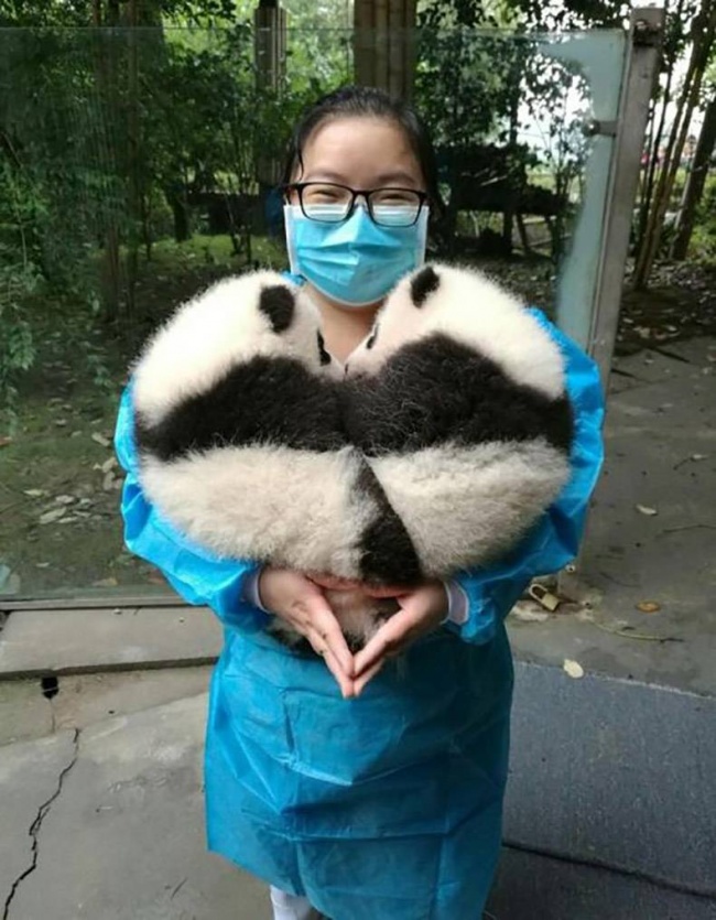 Illustration de l'article : 27 photos invraisemblables que vous n'avez probablement jamais vues