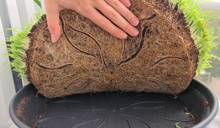 Illustration de l'article : Ces 20 photos qui illustrent les originalités de la nature