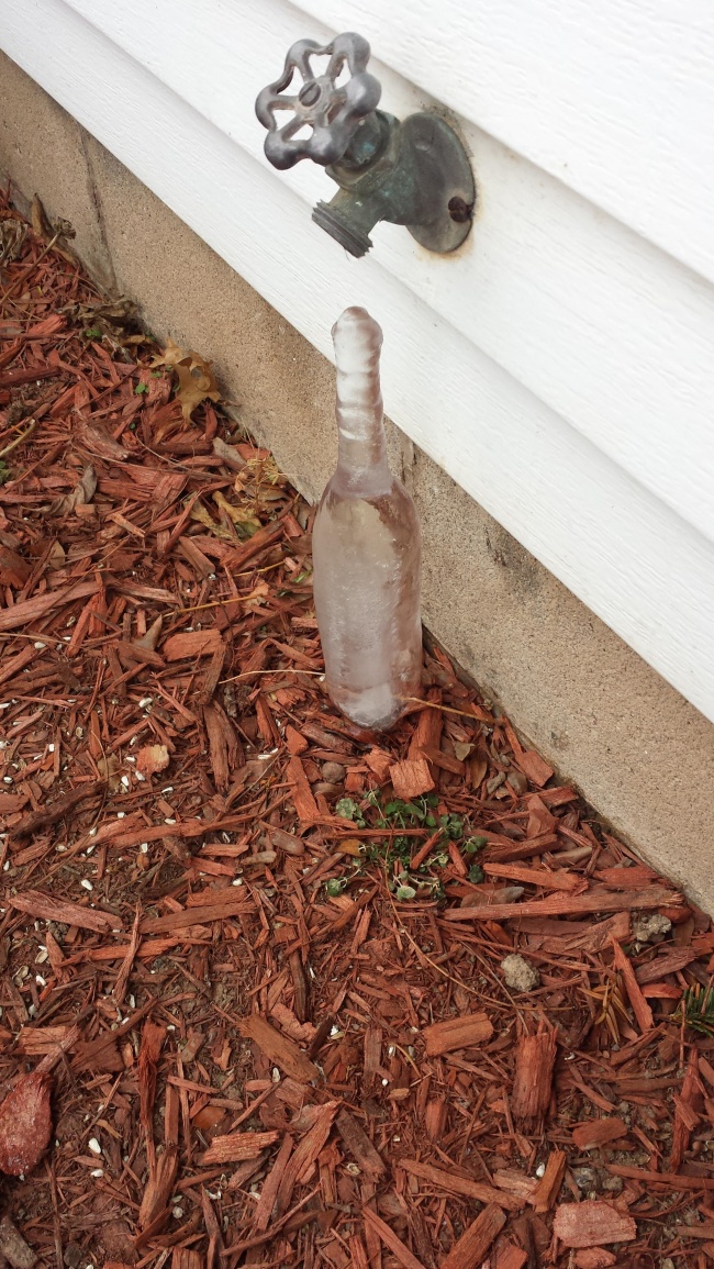 Illustration de l'article : 27 choses très surprenantes existant sur notre planète