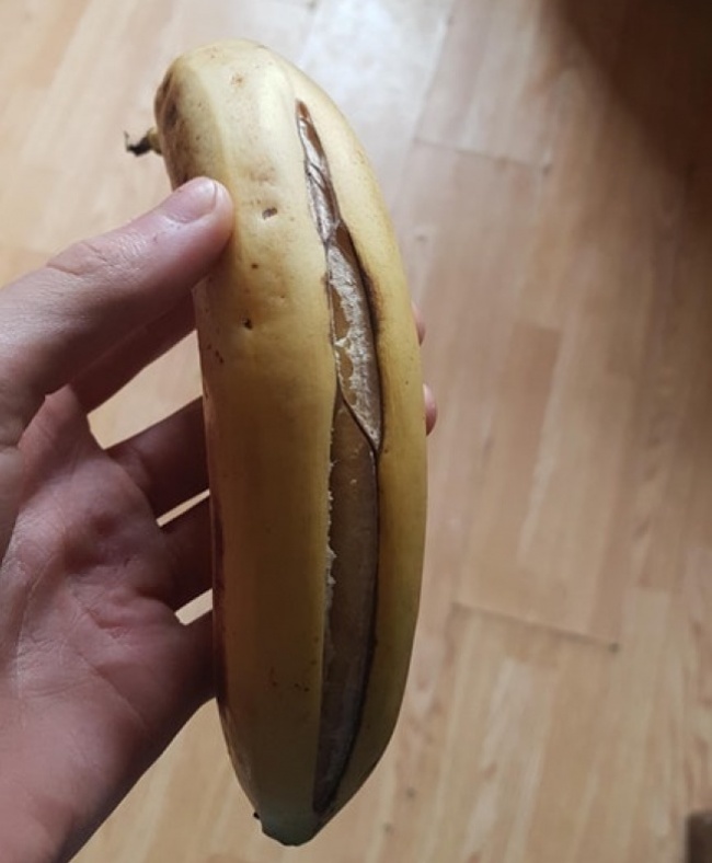 Illustration de l'article : 25 fois où la vie a illustré de vrais jeux de mots