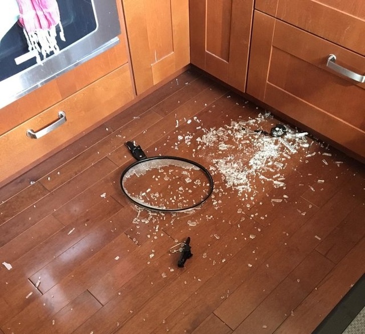 Illustration de l'article : Ces 20 photos où la chance s'est envolée