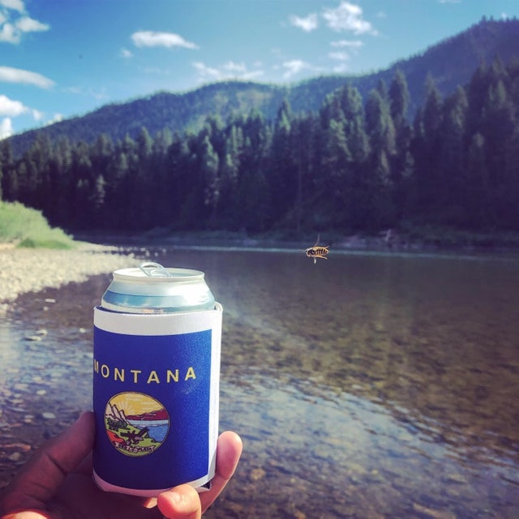 Illustration de l'article : Ces 15 choses que l'on peut désormais voir sur Internet