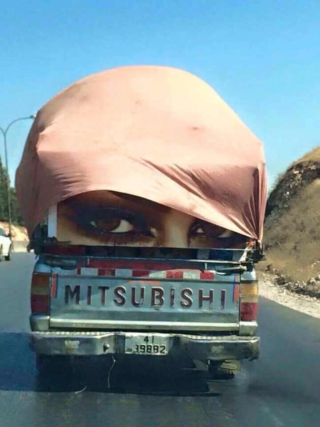 Illustration de l'article : 20 coïncidences prises en photo au bon moment