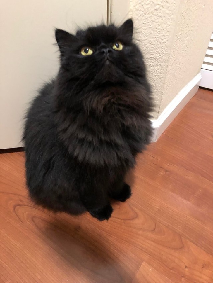 Illustration de l'article : Ces 19 photos représentant des mystères de la nature