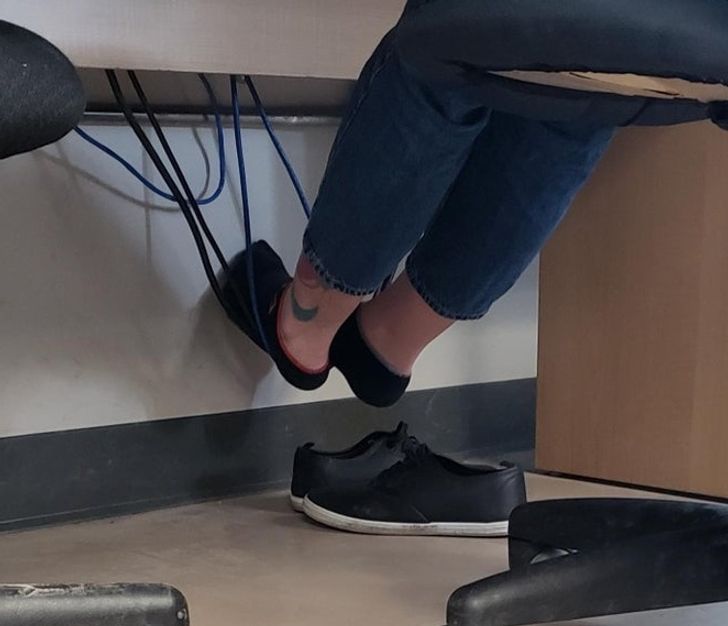 Illustration de l'article : Ces 19 photos qui ont le don de faire hérisser les poils