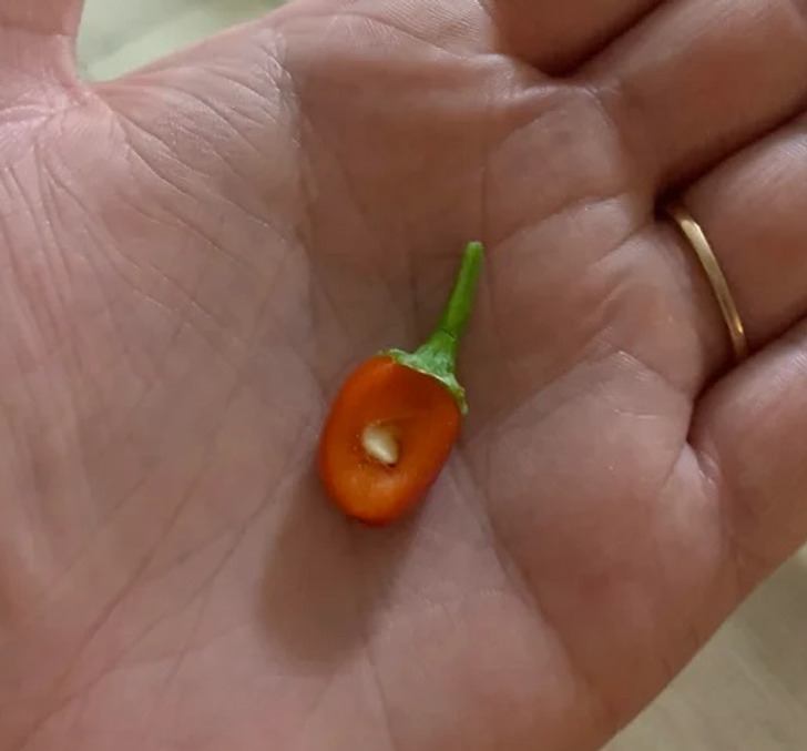 Illustration de l'article : Ces 19 photos qui illustrent les traits d'humour du quotidien