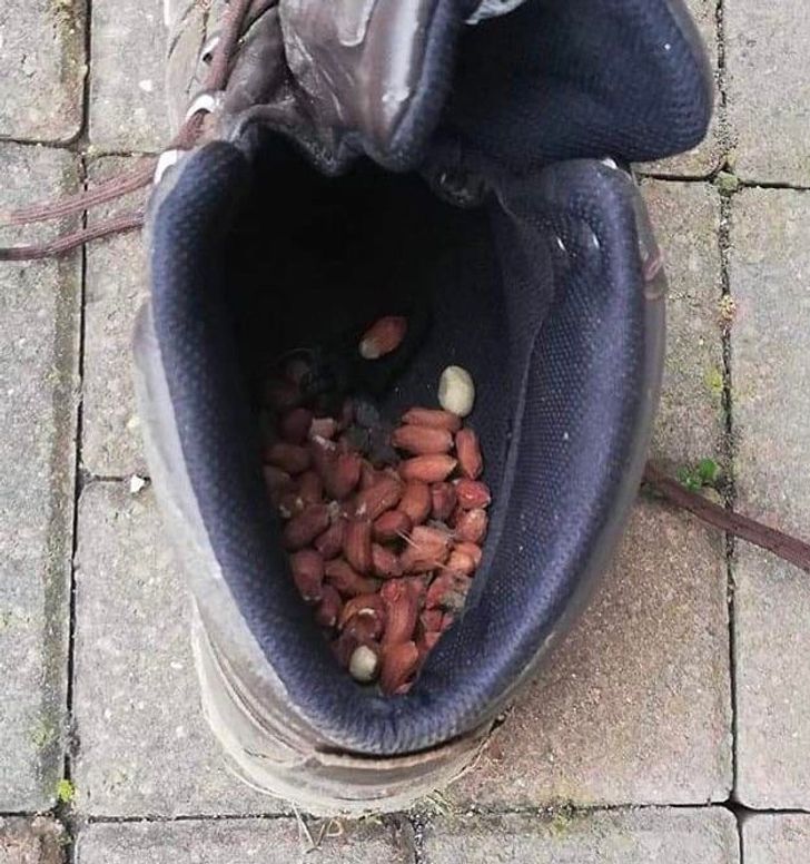 Illustration de l'article : Ces 18 personnes qui ont été récompensées par la chance