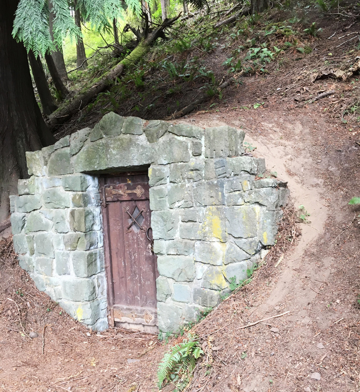 Illustration de l'article : Ces objets étranges ont tous une utilité bien particulière