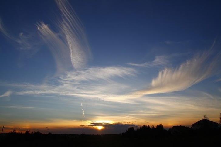 Illustration de l'article : Ces 26 photos qui montrent des situations prises au bon moment