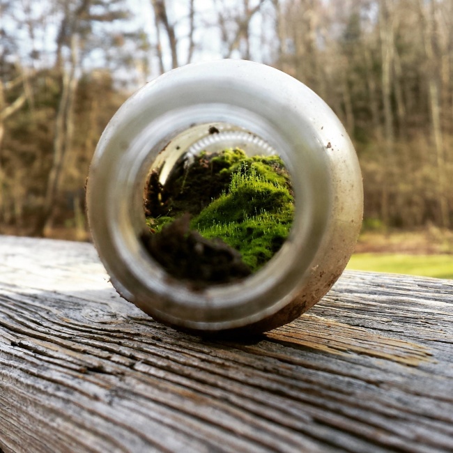 Illustration de l'article : 27 personnes partagent avec vous leurs découvertes incroyables