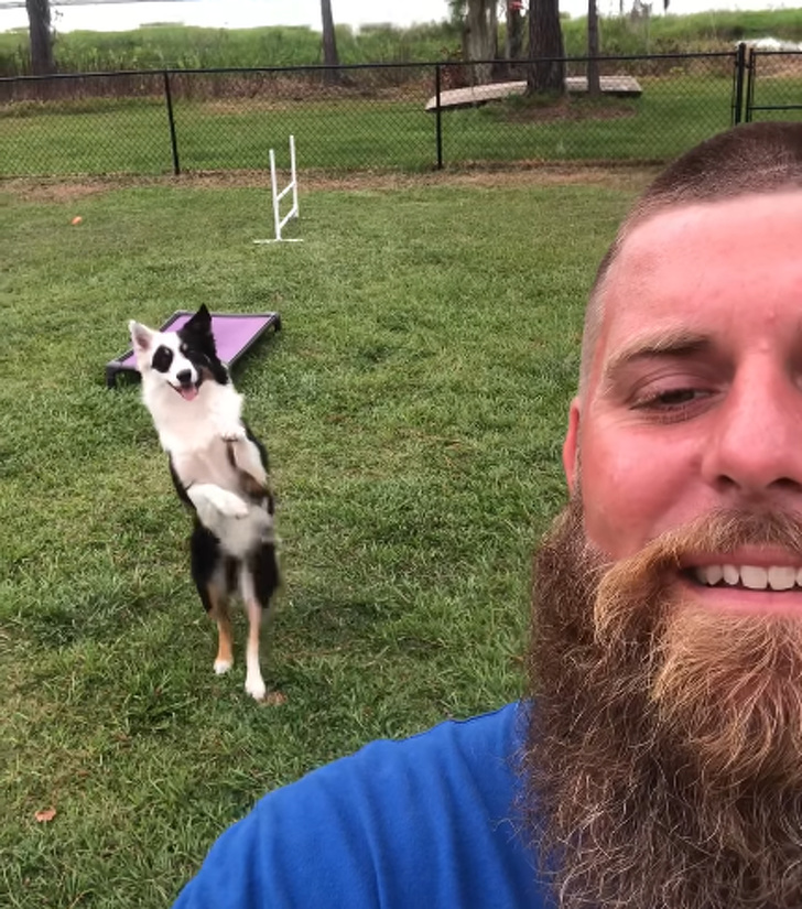 Illustration de l'article : Ces 17 personnes qui ont une bonne entente avec leurs collègues