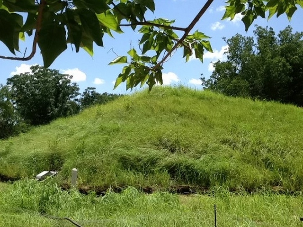 Illustration de l'article : 11 maisons incroyables qui préférent rester cachées