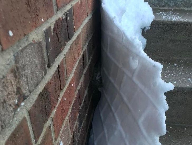 Illustration de l'article : Ces 20 photos qui montrent que la nature est bien faite