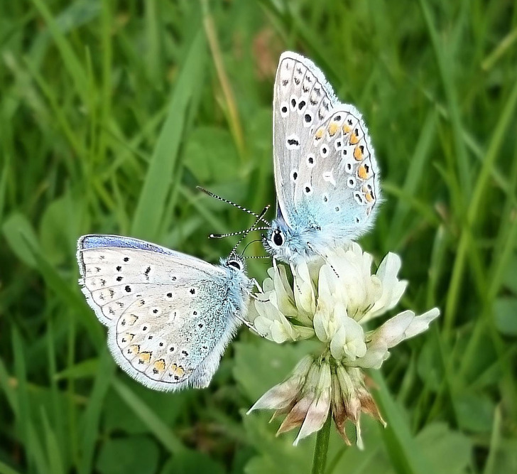 Illustration de l'article : Ces 16 choses inhabituelles créées par la nature