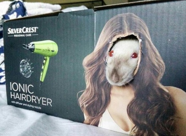 Illustration de l'article : Ces 13 situations où quelque chose ne va pas