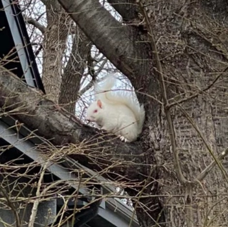 Illustration de l'article : Ces 18 situations qui ne se présentent qu'une seule fois dans une vie