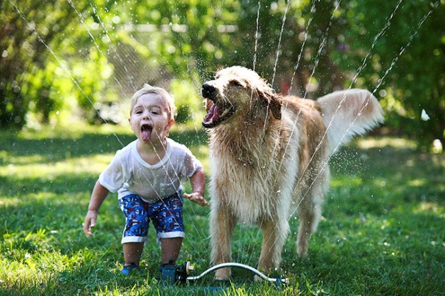 Illustration de l'article : Ces 20 photos dévoilent la complicité entre les enfants et leur animal de compagnie