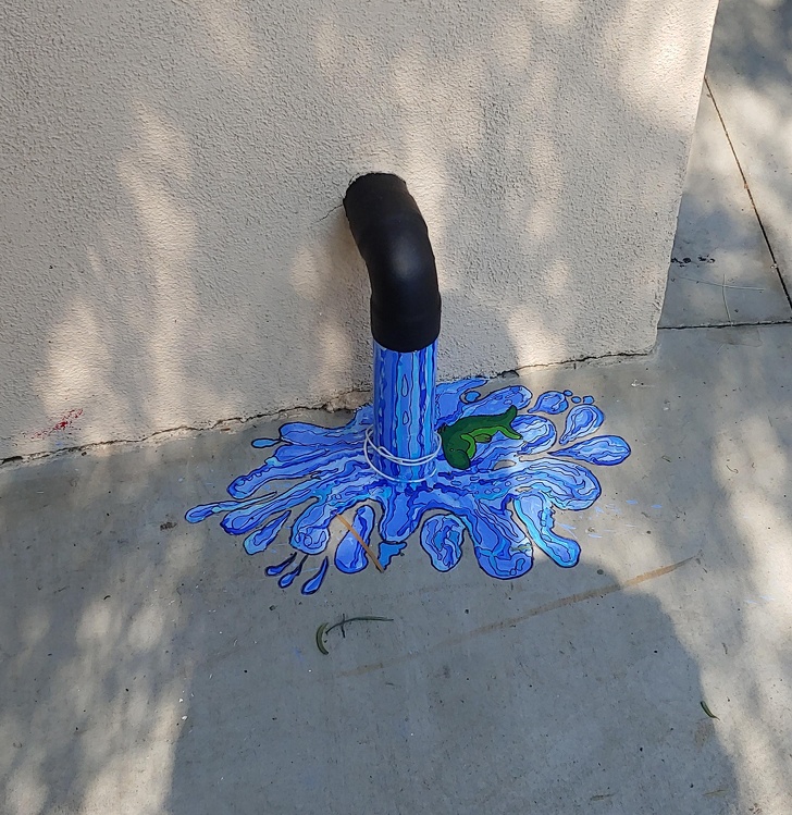 Illustration de l'article : Ces 21 photos demandent un peu de temps avant de les comprendre