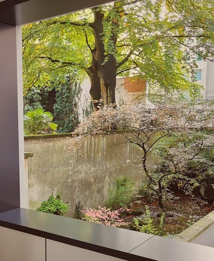 Illustration de l'article : Ces 20 photos qui demandent un second coup d'oeil