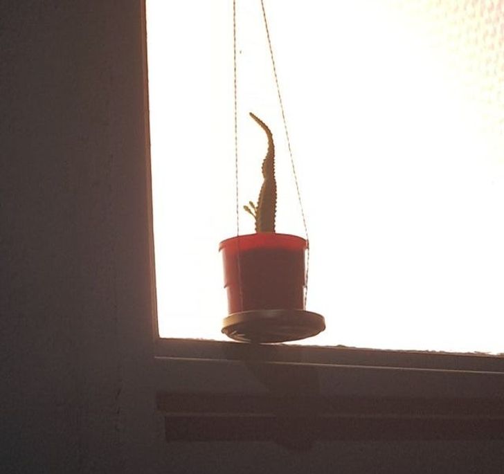 Illustration de l'article : Ces 19 photos avec quelques subtilités cachées