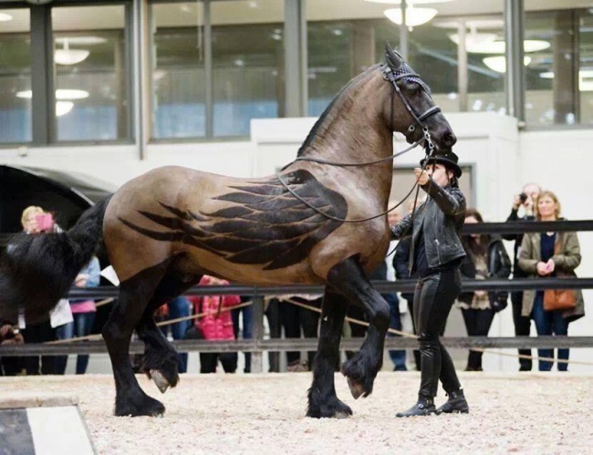 Illustration de l'article : 25 photos trompeuses qui nécessitent de la réflexion