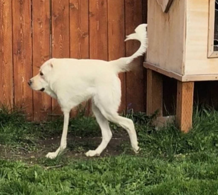 Illustration de l'article : Ces 23 photos prises en mode panoramas qui ont mal tourné