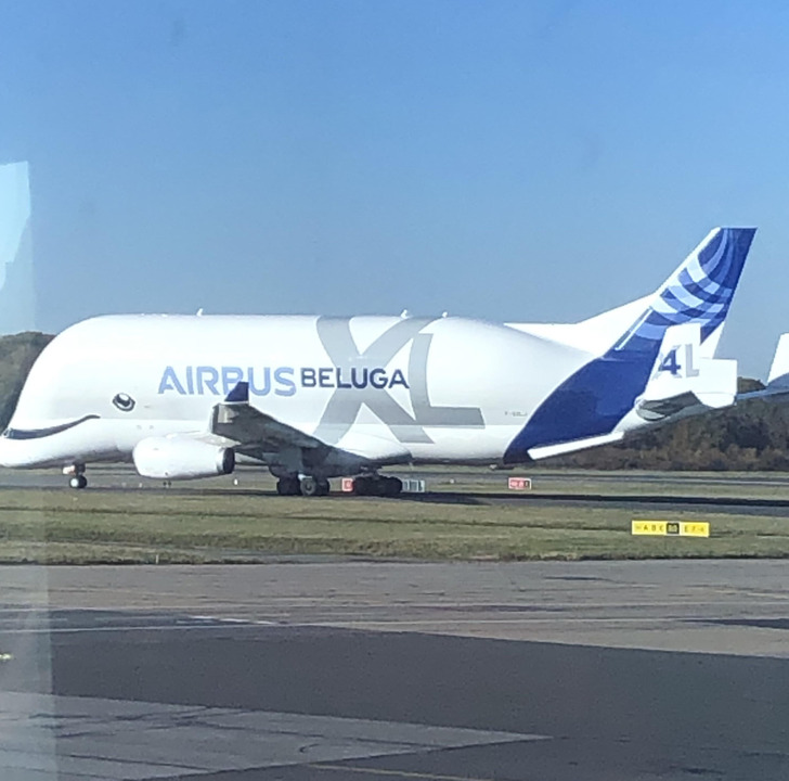 Illustration de l'article : Ces 15 créateurs qui méritent tous les honneurs