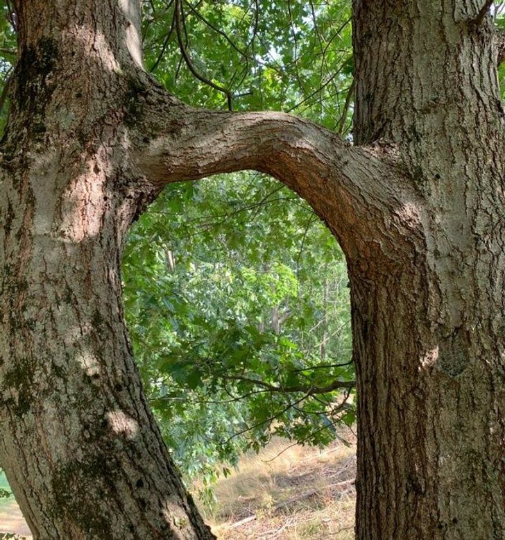 Illustration de l'article : Ces 18 situations comme on en rencontre rarement