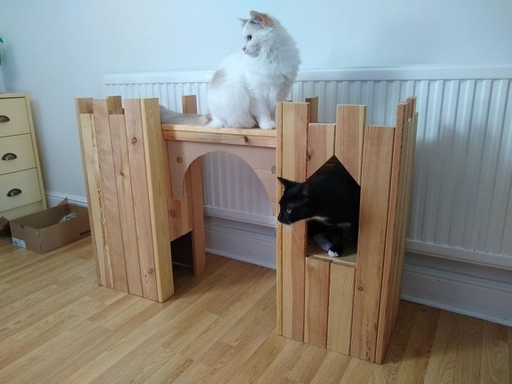 Illustration de l'article : Ces 20 objets usés qui ont été transformés