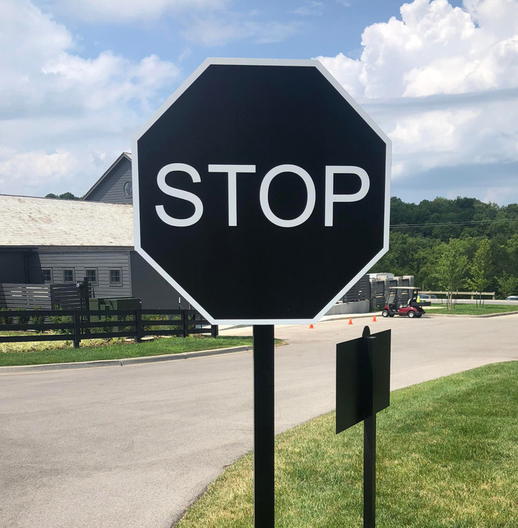 Illustration de l'article : Ces 20 photos qui suscitent bien des interrogations