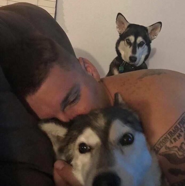 Illustration de l'article : Ces 13 photos qui montrent la jalousie dans le monde