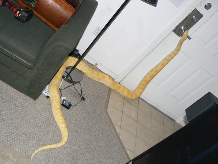 Illustration de l'article : Ces 21 photos de personnes qui ont dépassé les limites