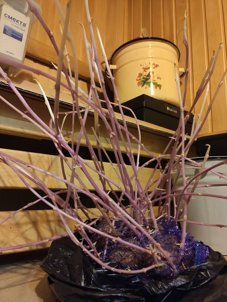 Illustration de l'article : Ces 14 photos qui montrent la puissance de la nature