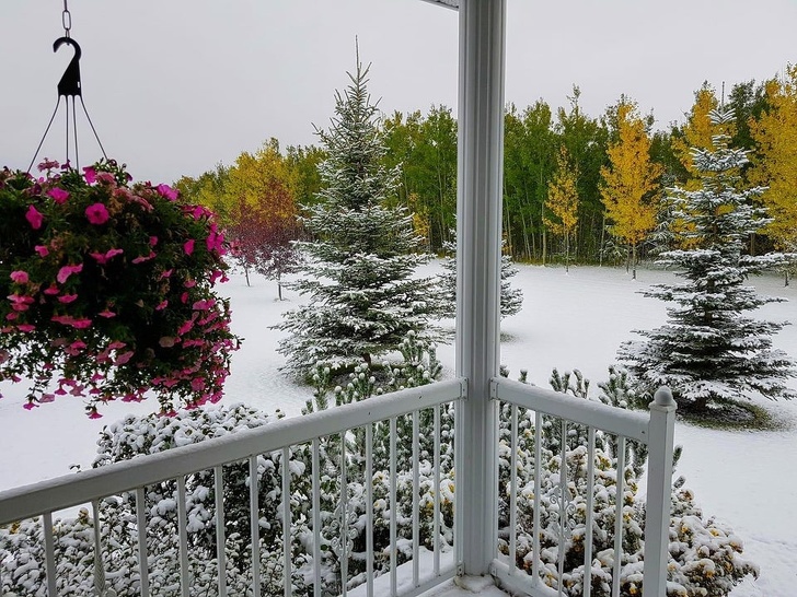 Illustration de l'article : Ces 21 photos pour découvrir le Canada