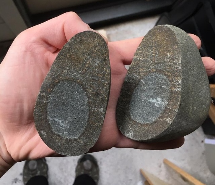 Illustration de l'article : Ces 23 situations où le hasard a bien fait les choses