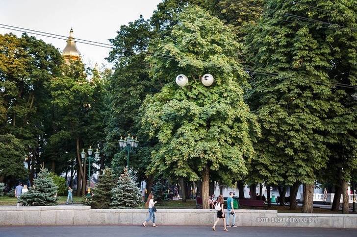 Illustration de l'article : Ces 18 photos parfaites prises à l'instant idéal