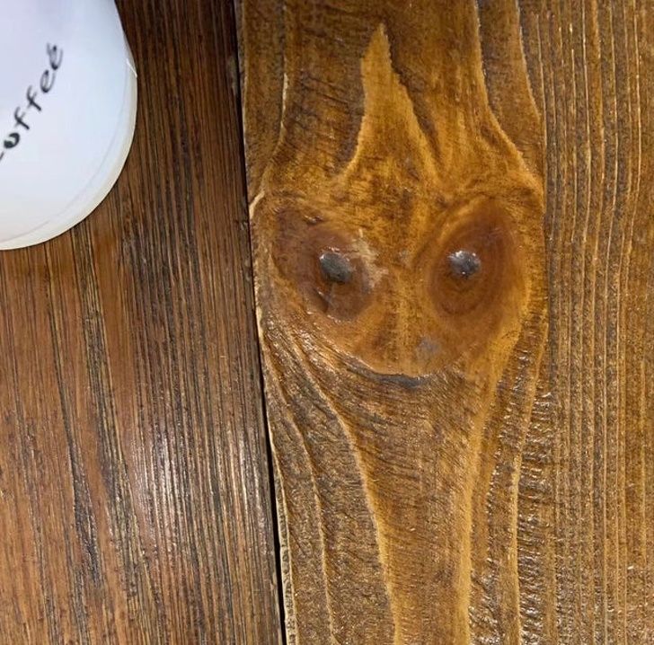 Illustration de l'article : Ces 20 photos qui mettent en avant certaines trouvailles