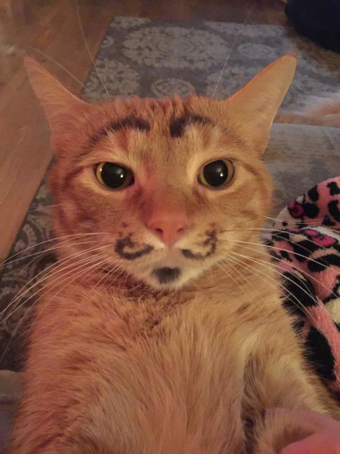 Illustration de l'article : 20 grosses b&ecirc;tises qui font bien rire ceux qui n&rsquo;ont pas d&rsquo;enfant