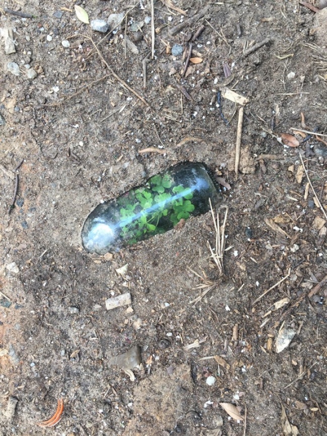 Illustration de l'article : 14 personnes ayant retrouvé des choses à des endroits improbables